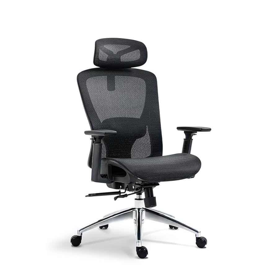 Amazon.com: Home Office Desk Chair, High Back Mesh Ergonomic